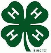 Garvin County 4-H Officers